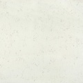 Ariel Silestone slab